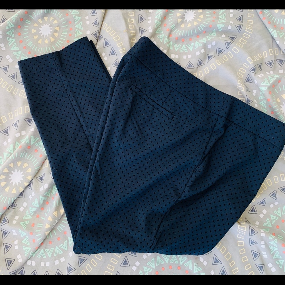 Loft Petites NWOT Julie Skinny & Textured Pants